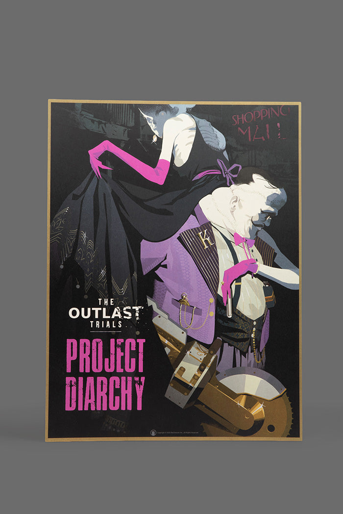 Project Diarchy Poster - 18"x24"